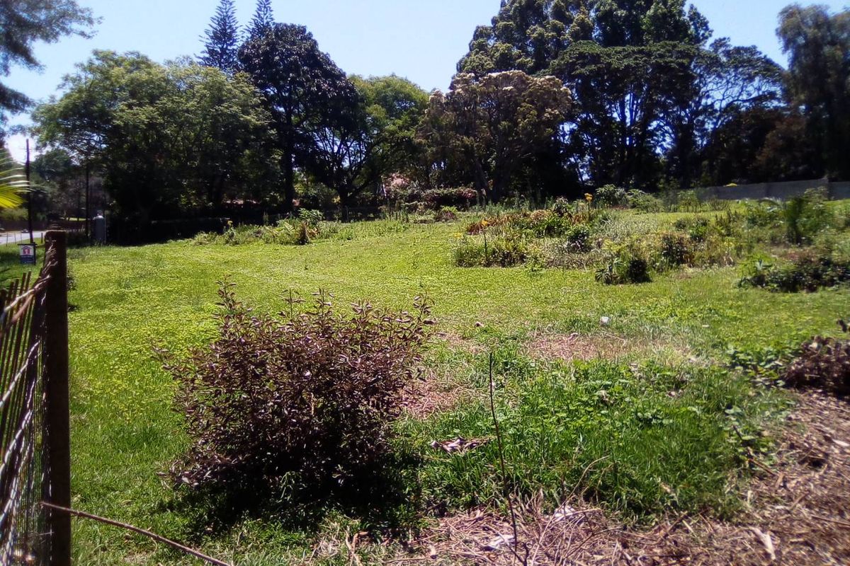 Super Find- Rare Gem of Land in WInston Park - Photo 3