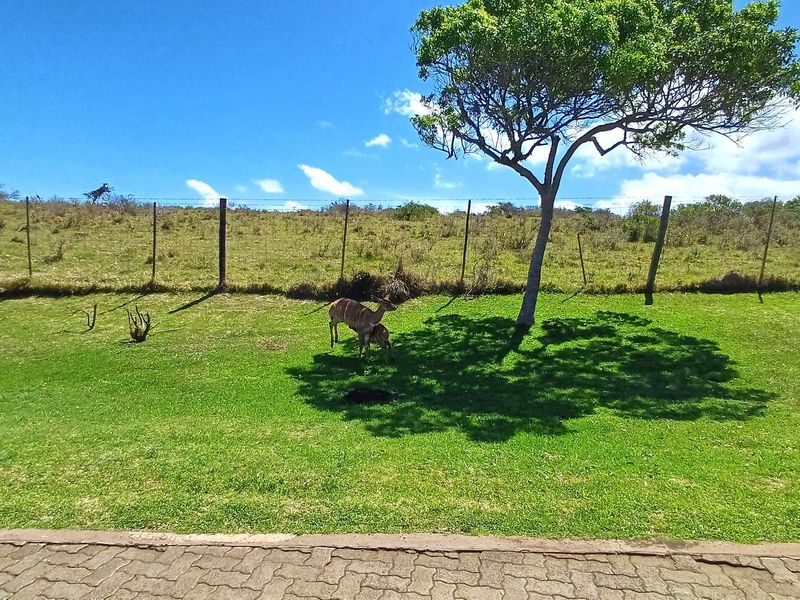 Vacant stand at Khamanga Bay Estate - Photo 10
