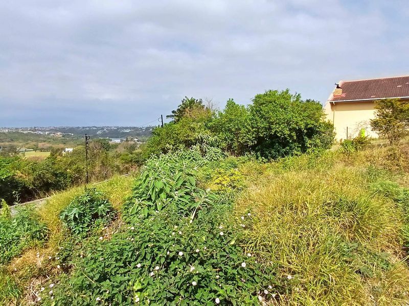 Elevated plot with views of Beacon Bay Country Club and the valley - Photo 6