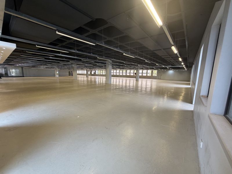 Expansive open-plan industrial floor space featuring polished concrete floors, exposed waffle ceiling, and abundant natural light from large windows.