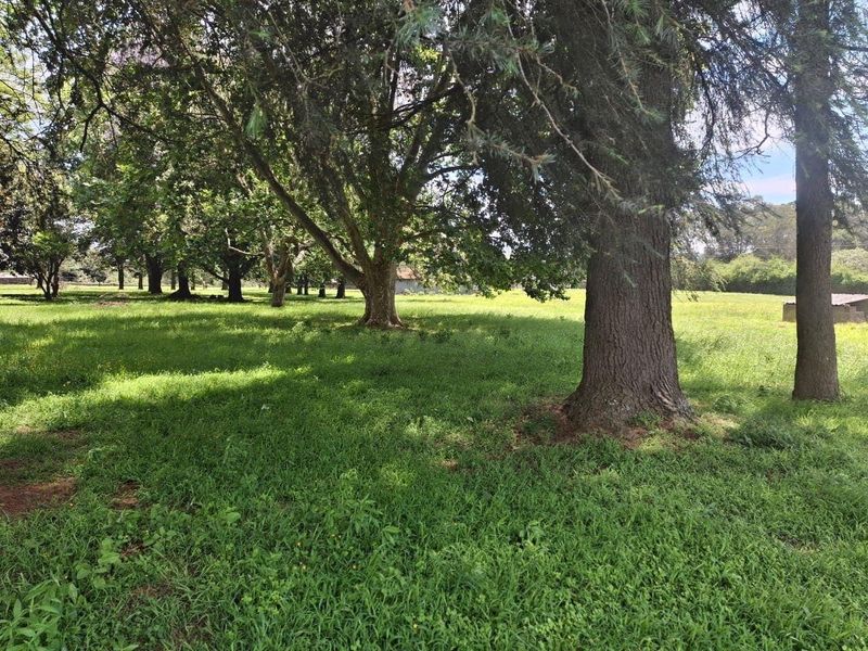 Lifestyle property within a short distance of Howick - Photo 10