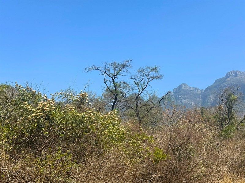 Vacant Stand with Mountain views - Photo 5