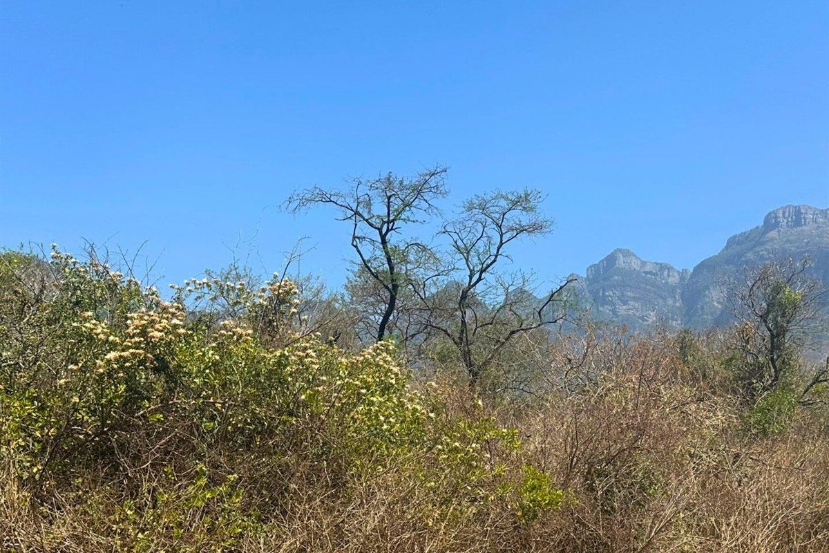 Vacant Stand with Mountain views - Photo 5