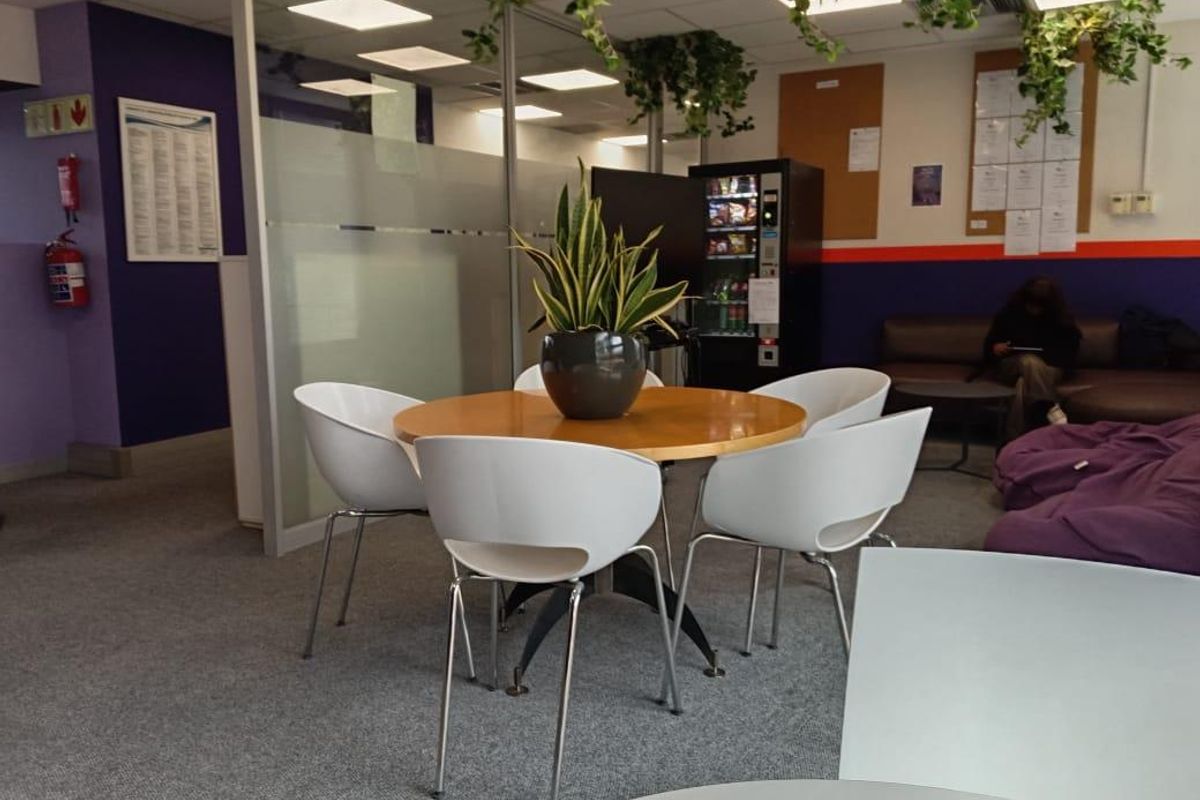 Centrally Located 534sqm Office with Security & Fiber - Photo 3