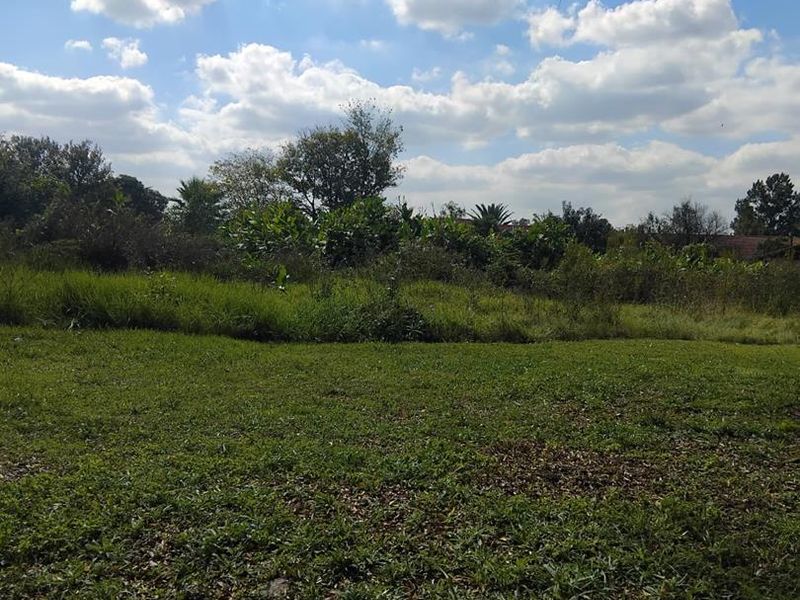 Large vacant land available for sale. - Photo 3