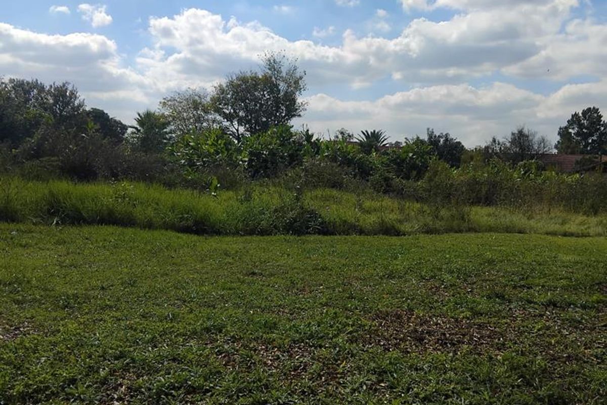 Large vacant land available for sale. - Photo 3