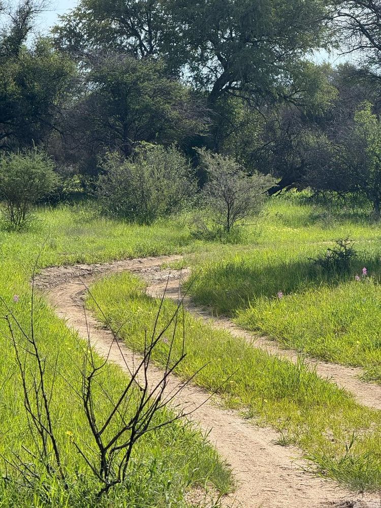 View of the field on the Farm