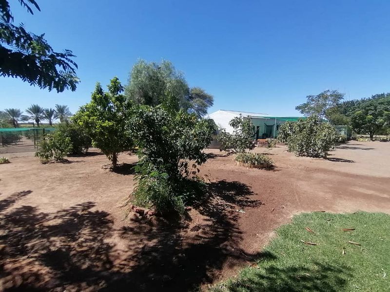 NUTRITIONAL RICH AGRICULTURAL / RESIDENTIAL PLOT FOR SALE IN HARDAP NAMIBIA - Photo 8