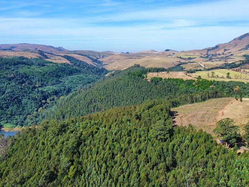 33-Hectare Vacant Land with Forest and Panoramic Views in the Midlands, Howick Rural - Photo 2