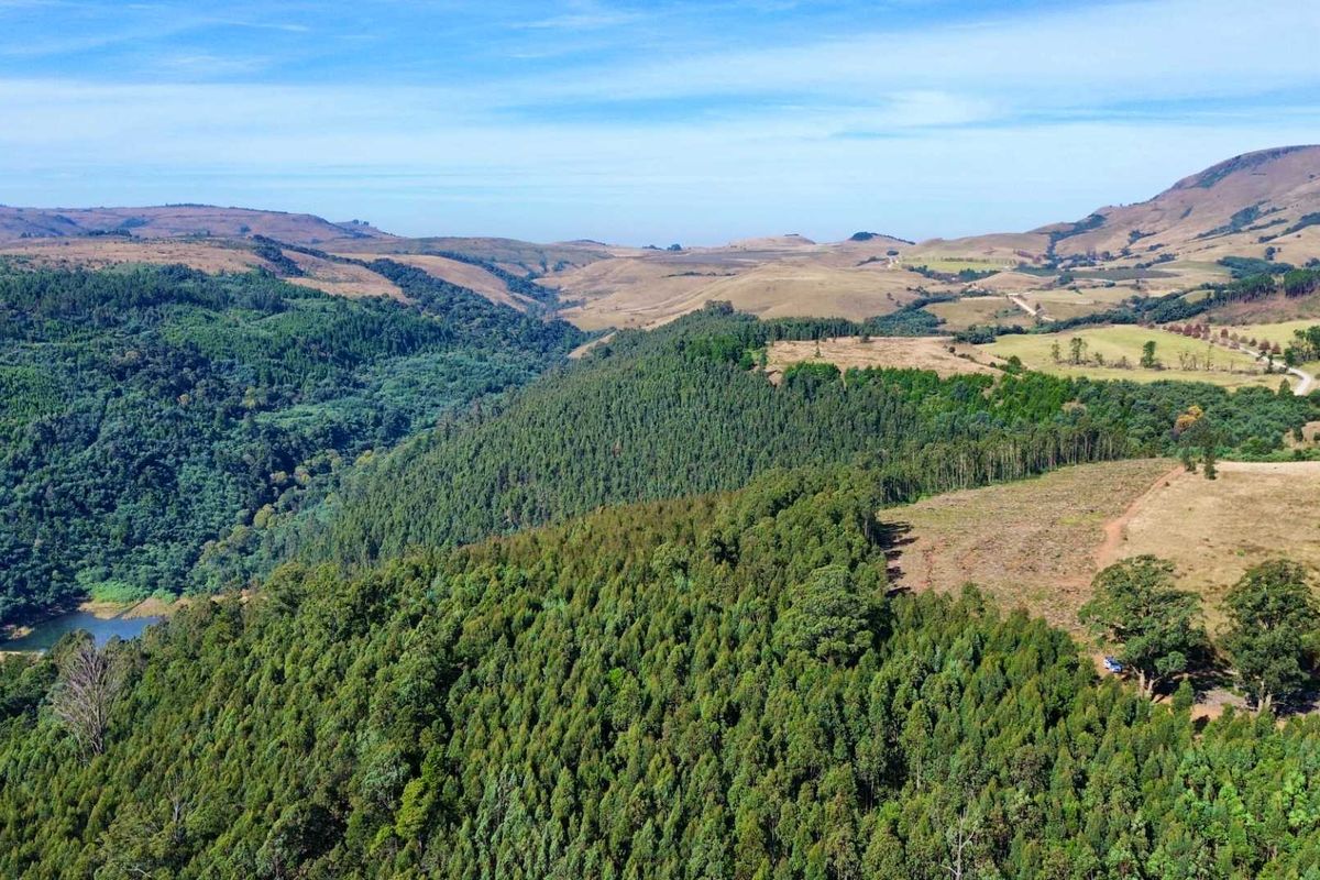 33-Hectare Vacant Land with Forest and Panoramic Views in the Midlands, Howick Rural - Photo 2