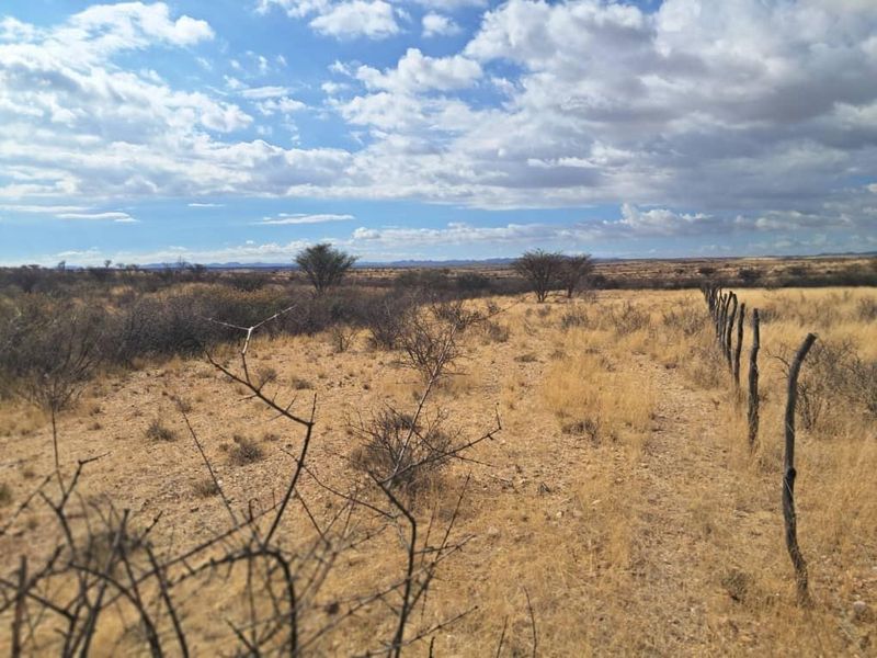 Farm Karnas - Photo 5