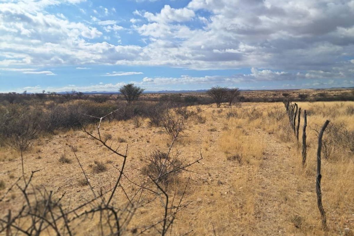 Farm Karnas - Photo 5