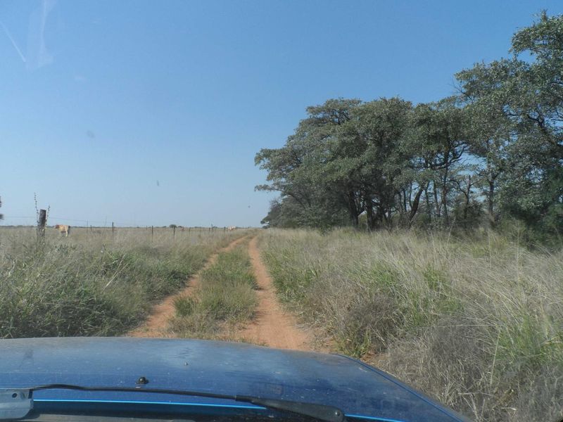 750 HECTARE FARM FOR SALE IN MOOKGOPONG - Photo 6