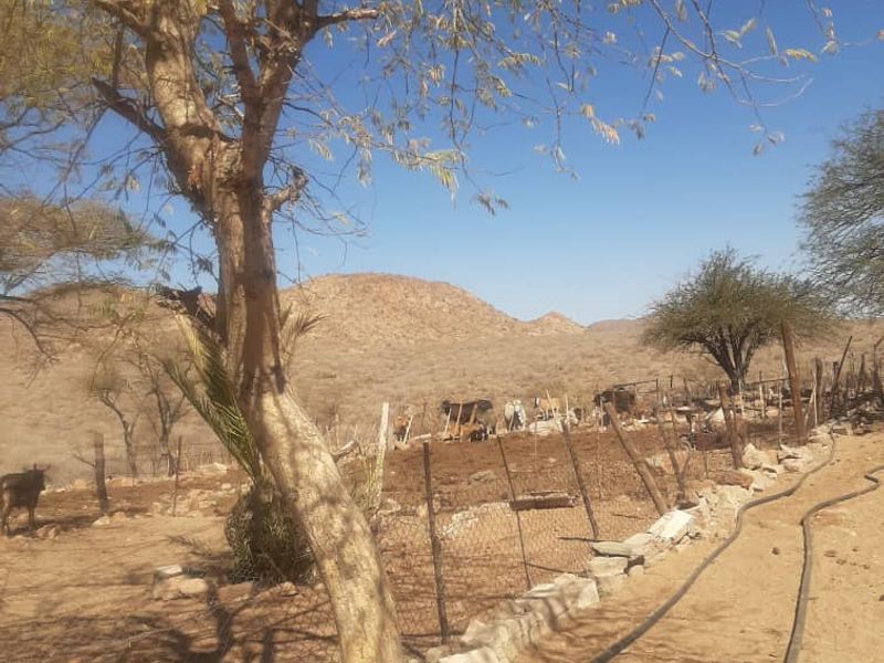 CATTLE FARM FOR SALE KHOMAS HOCHLAND - Photo 3