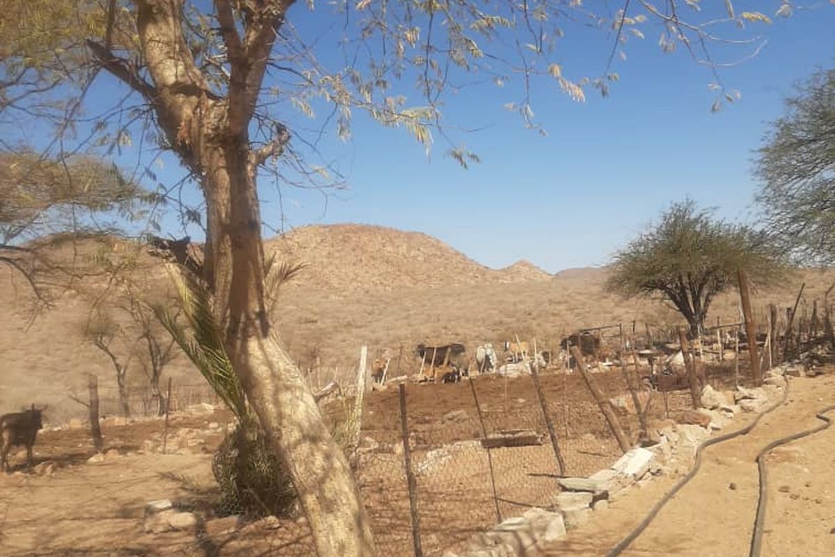 CATTLE FARM FOR SALE KHOMAS HOCHLAND - Photo 3