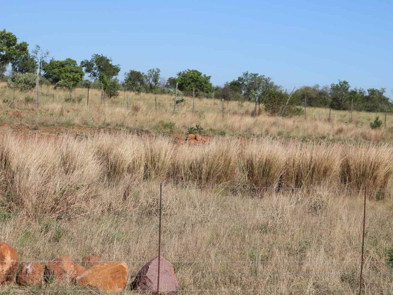 An expansive view of the natural veld landscape featuring dry grass, indigenous trees, and perimeter wire fencing on the small holding.