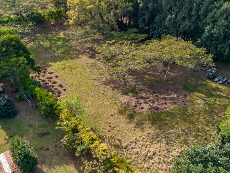 The Perfect piece of land - Photo 5