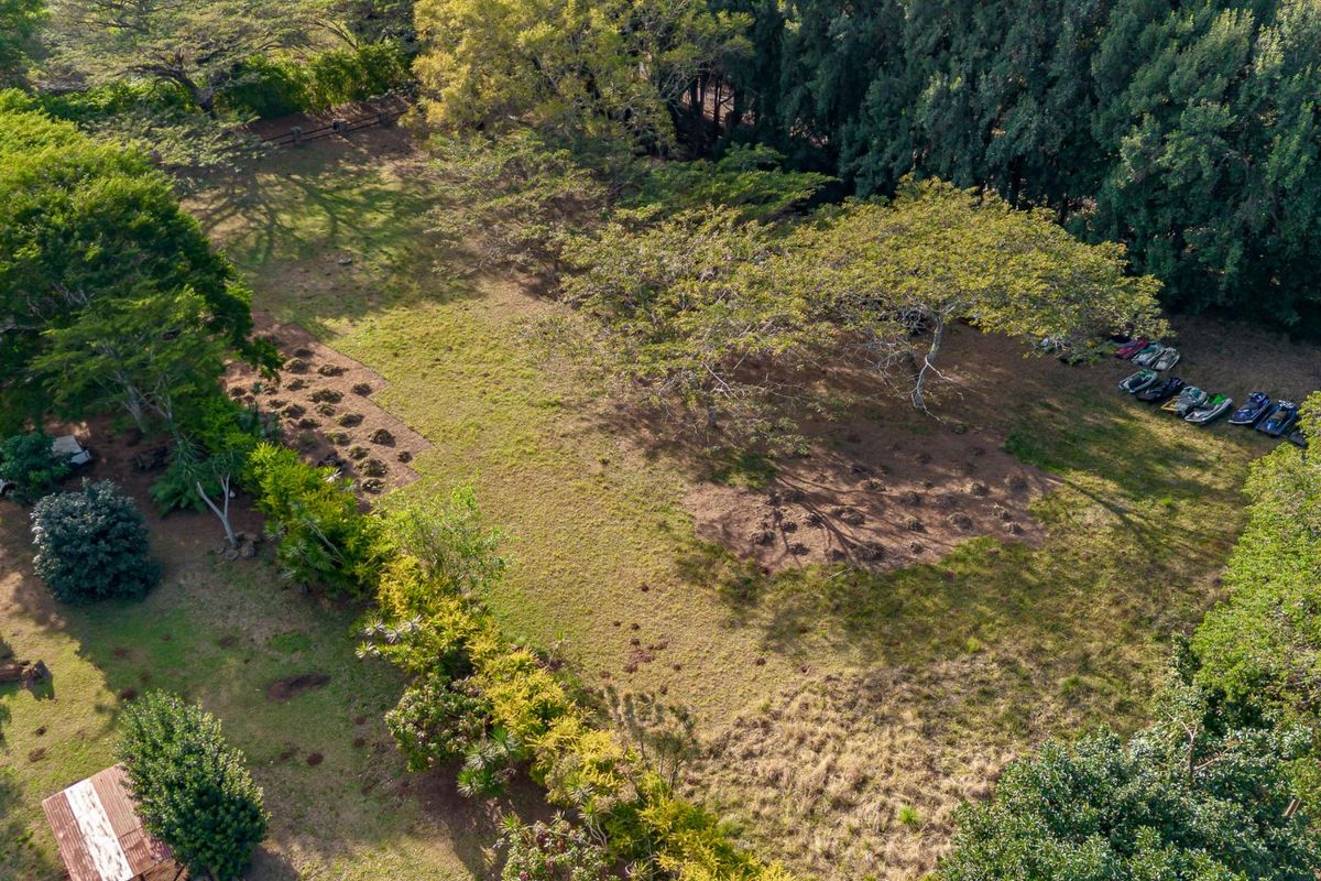 The Perfect piece of land - Photo 5