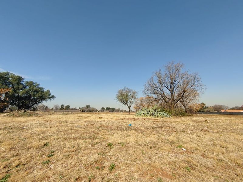 A wide-angle view of a vacant commercial land plot featuring dry grass and mature trees under a clear blue sky.