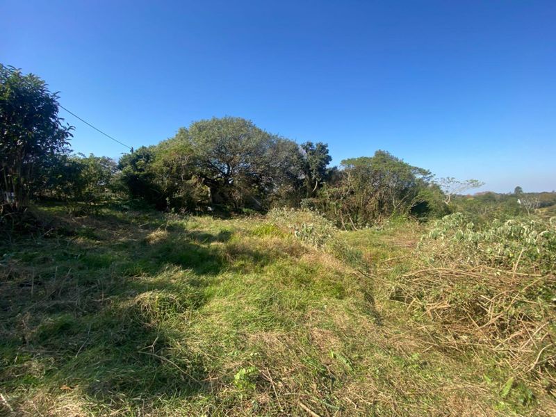 GENEROUS LAND OPPORTUNITY IN SOUGHT-AFTER EVERTON. - Photo 5