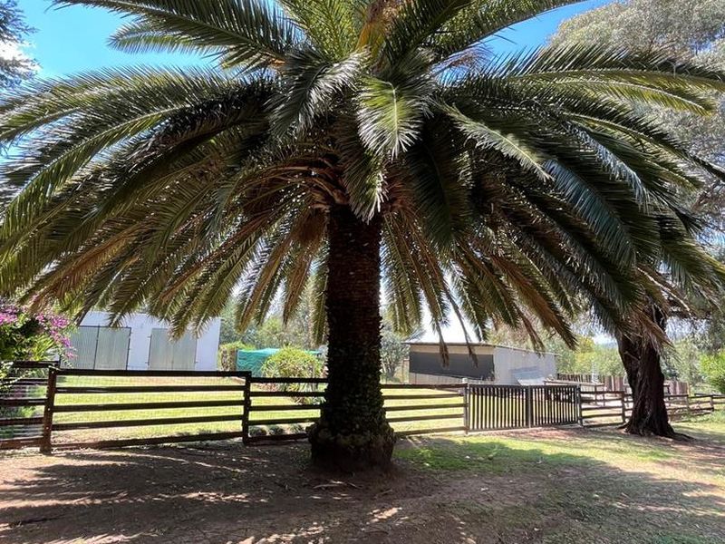 Unlock potential on 2.2ha. Ideal for lifestyle, multi-family living or business - Photo 6