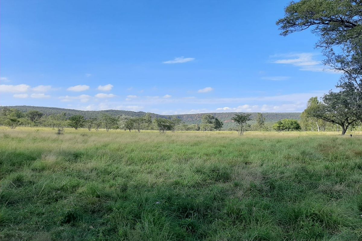 A scenic view of the expansive agricultural land featuring open grassland and mature trees under a clear blue sky.