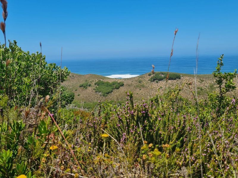 Natures dream - Photo 2