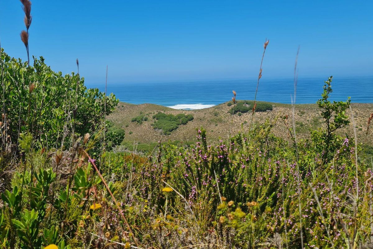 Natures dream - Photo 2