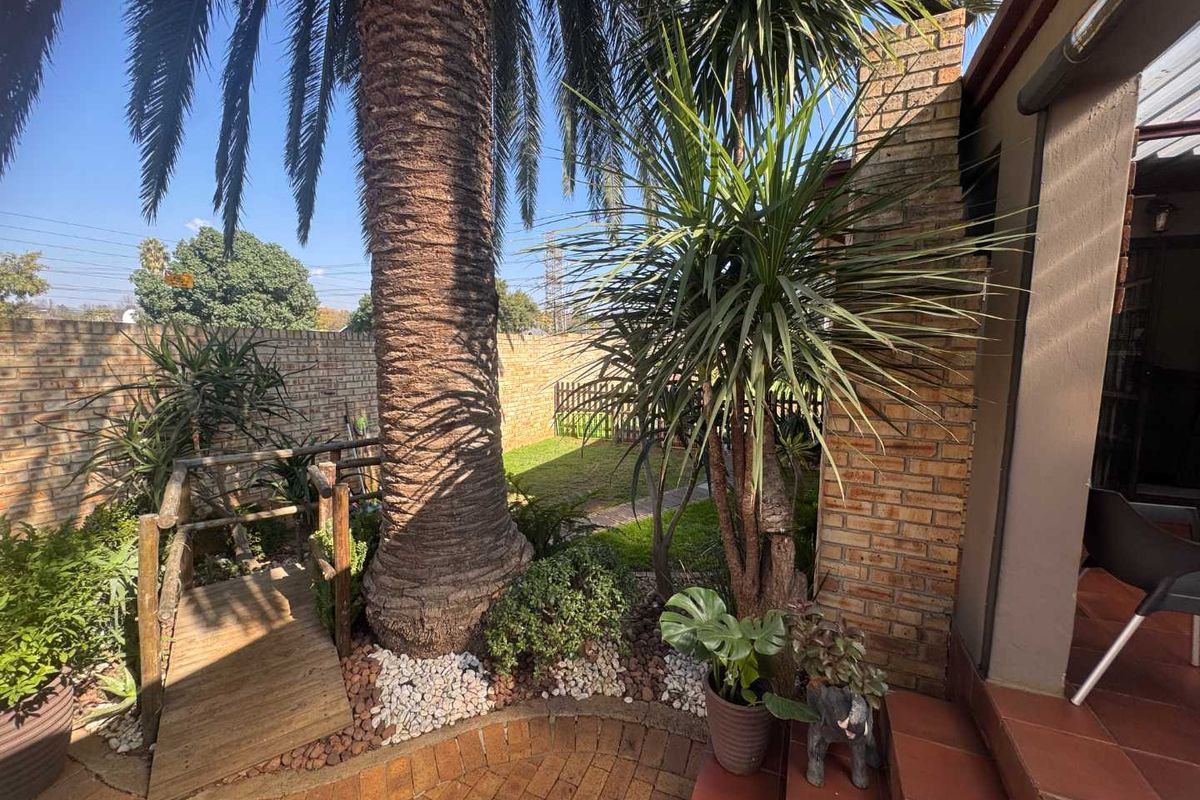 A private rear garden featuring a brick-paved patio, mature palm tree, and a small wooden bridge leading to a lawn area.