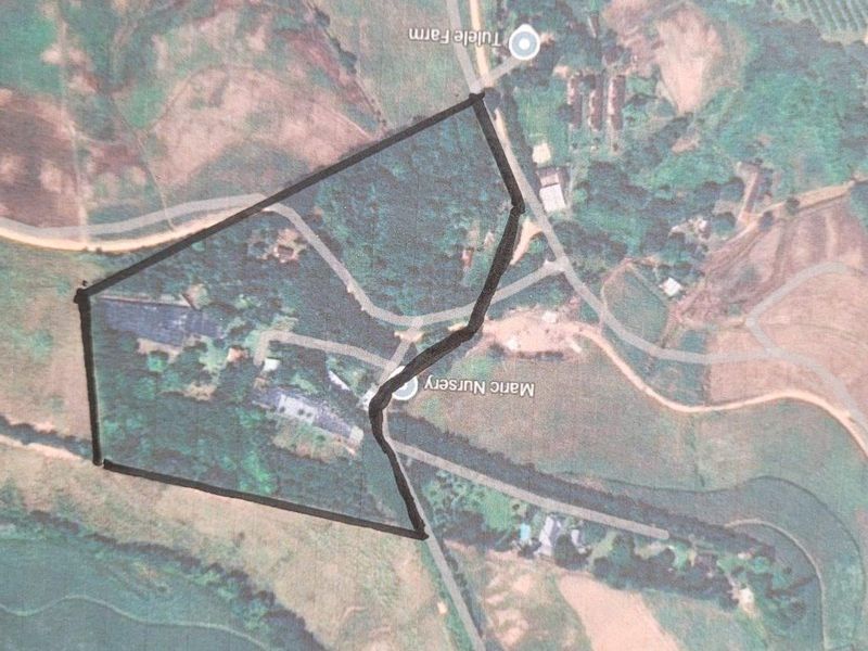 Farm in Rural Ballito - Photo 2