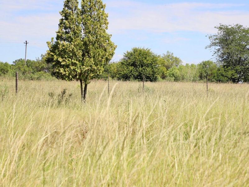 Vacant Smallholding for Sale 6.85 hectares of Opportunity - Photo 3