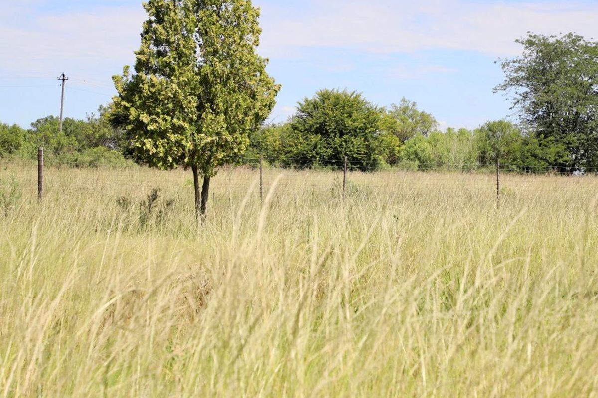 Vacant Smallholding for Sale 6.85 hectares of Opportunity - Photo 3