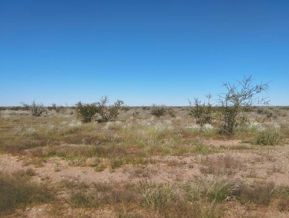 overview of farm land