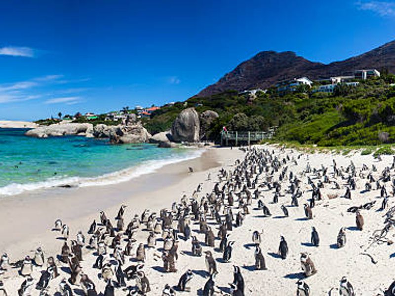 A scenic panoramic view of a coastal beach landscape featuring turquoise waters, sandy shores, and surrounding mountain terrain.