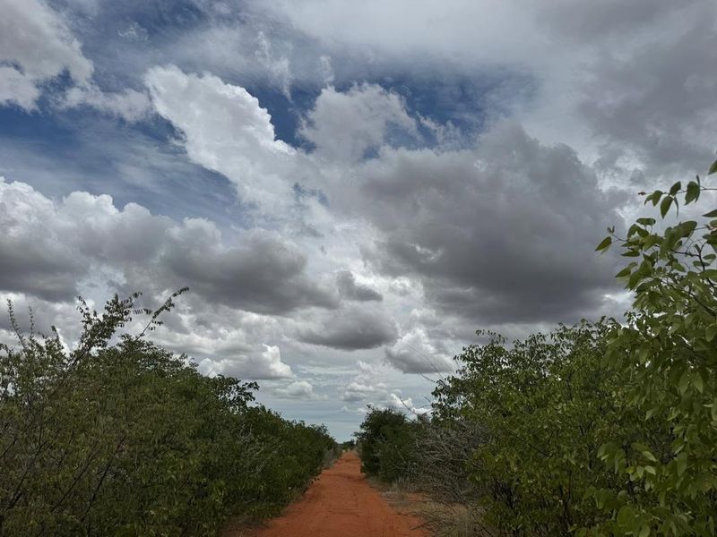 A scenic view of a dirt farm road flanked by native vegetation under a dramatic cloudy sky.