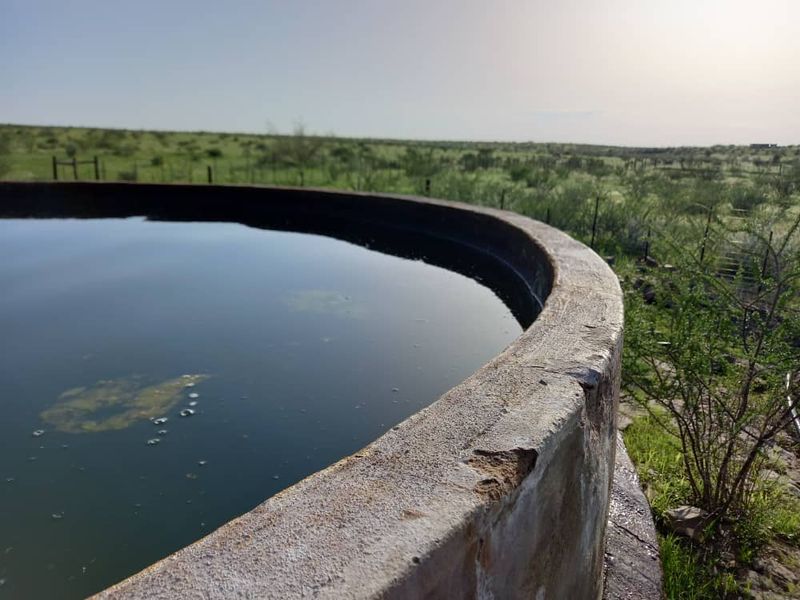 Farm For Sale - Photo 5