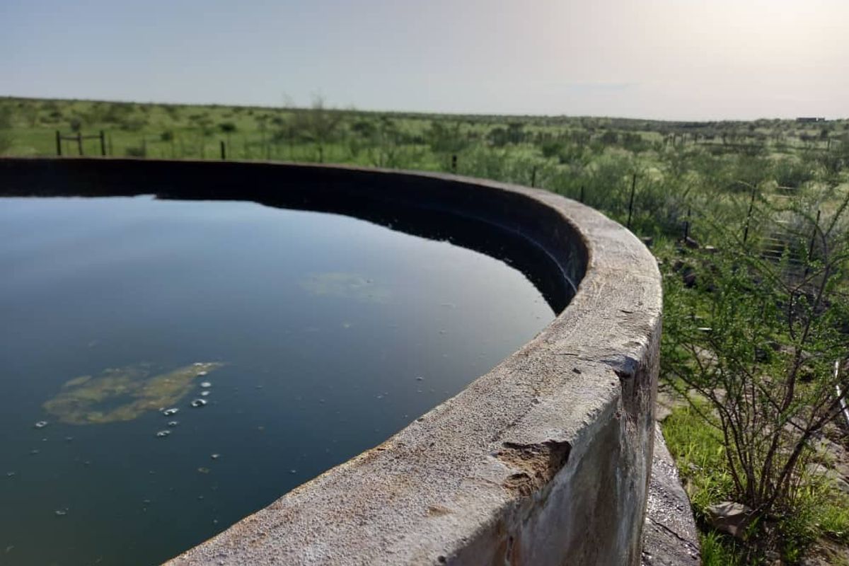 Farm For Sale - Photo 5