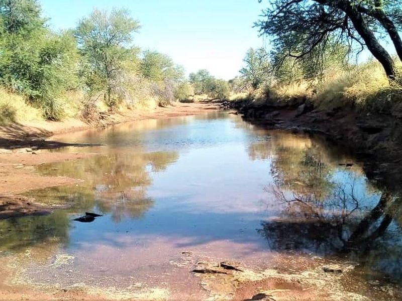 Expansive 9,654-Hectare Farm: Ideal for Agriculture & Serene Living - Photo 7