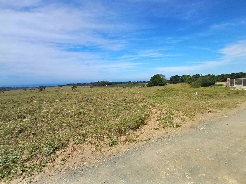 1195sqm vacant stand with established biogas digester and 2 rain water tanks - Photo 10