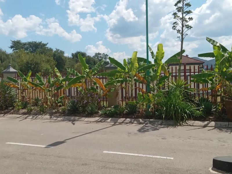 stand for sale. - Photo 10