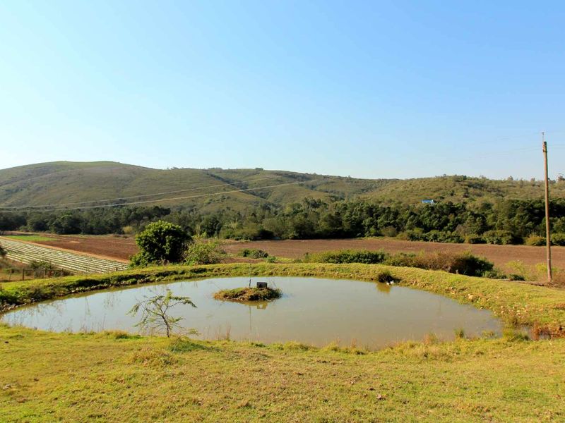 Farm 13 km from Hartenbos - Photo 6