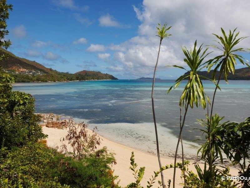 A scenic view of a tropical beach with turquoise waters, sandy shoreline, and lush coastal vegetation.