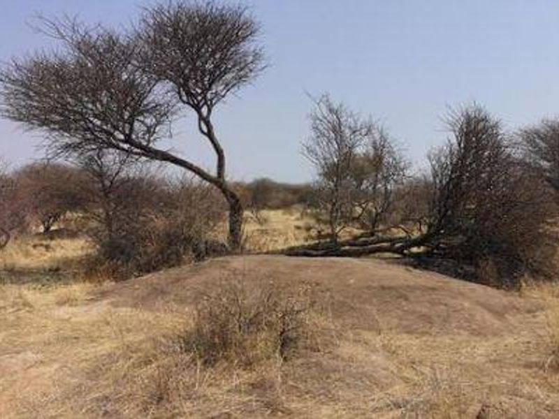 Beautiful Plot available, 15km North of Okahandja - Photo 4