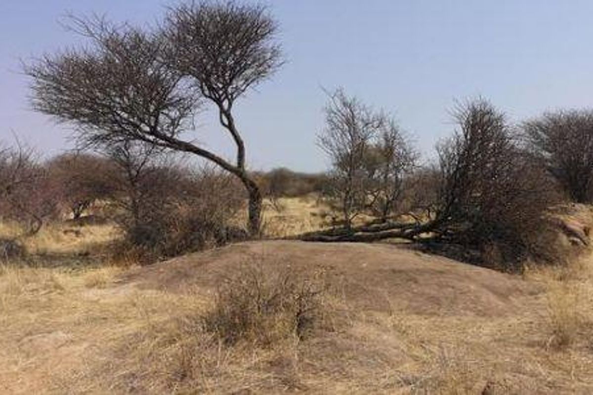Beautiful Plot available, 15km North of Okahandja - Photo 4