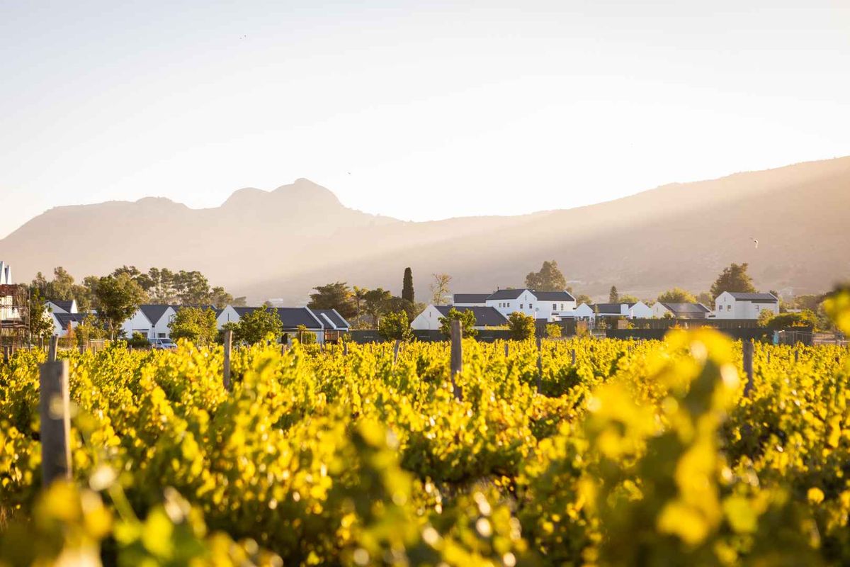 Single-Storey Family Home with Mountain and Vineyard Views at Paarl Valleij Lifestyle Estate & Farm - Photo 5