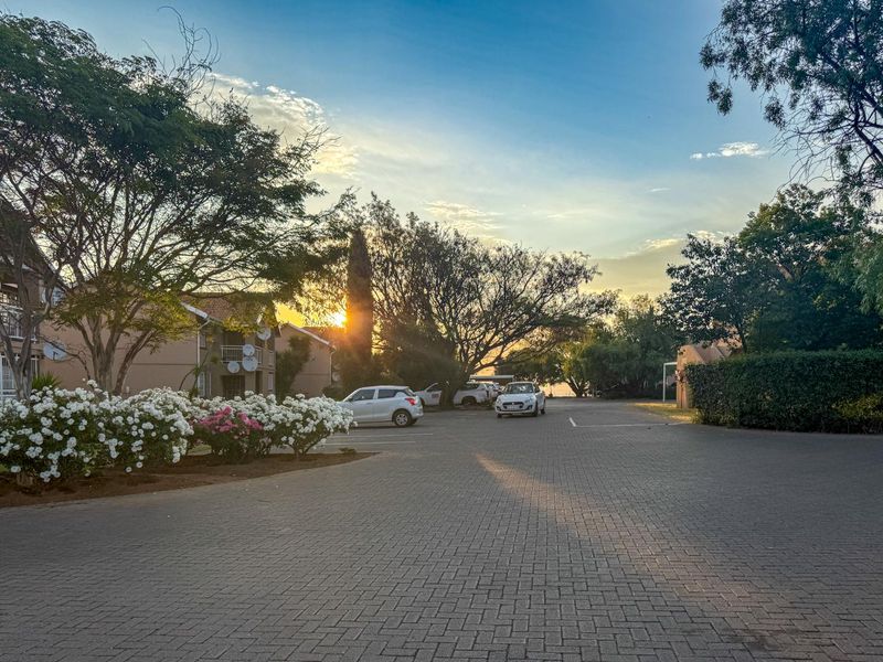 A view of the apartment complex exterior featuring a paved driveway, landscaped garden areas, and residential building facades at sunset.