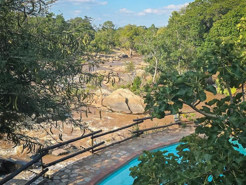 Two-third (2/3) shareholding for Sale - Riverside Property in Ndlovumzi Nature Reserve - Photo 8