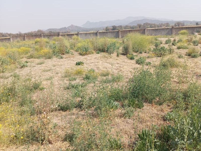 Build your dream house - Photo 4