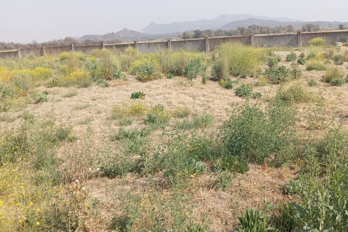 Build your dream house - Photo 4