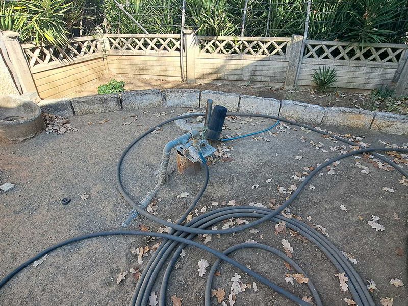 . "Escape to Edenburg: Your Peaceful Oasis Awaits" - Photo 5